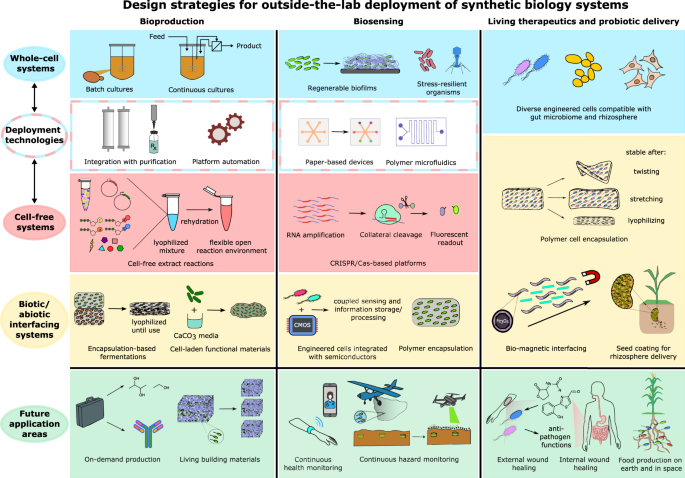 Biology, Free Full-Text