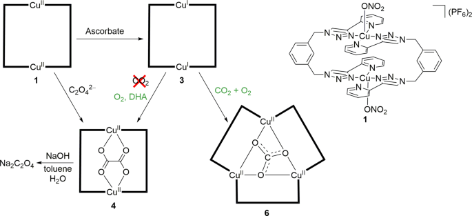 Oxalate Production Via Oxidation Of Ascorbate Rather Than Reduction Of Carbon Dioxide Nature Communications