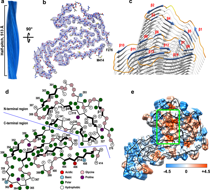 Cryo Em Structure Of Amyloid Fibrils Formed By The Entire Low Complexity Domain Of Tdp 43 Nature Communications