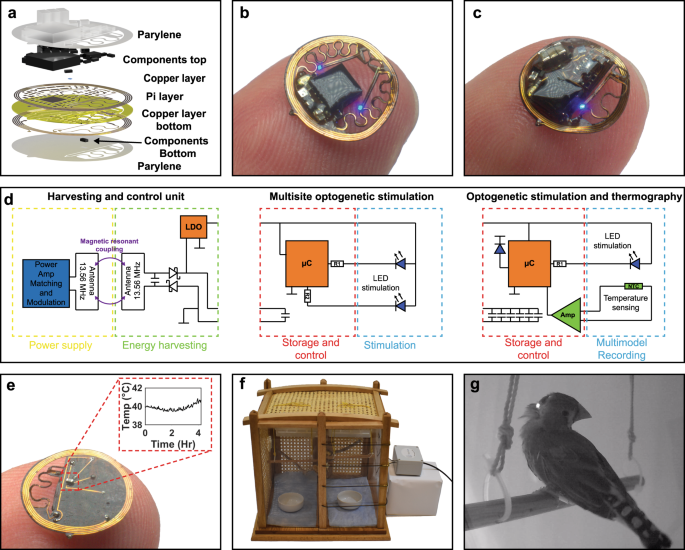 Download Wireless Battery Free Fully Implantable Multimodal Recording And Neuromodulation Tools For Songbirds Nature Communications