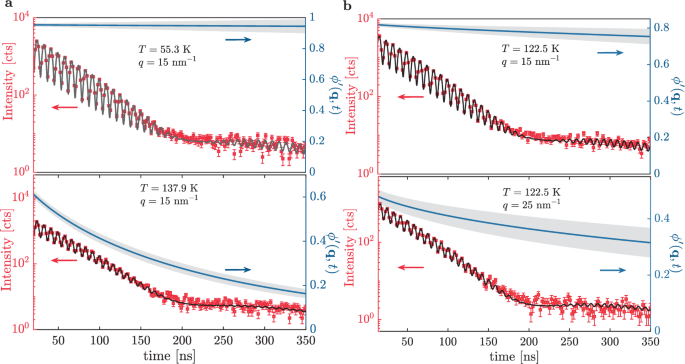 Experimental evidence of mosaic structure in strongly supercooled molecular liquids