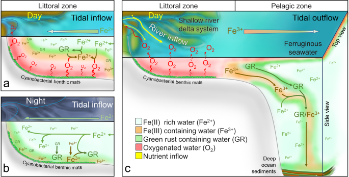 Diurnal Fe Ii Fe Iii Cycling And Enhanced O2 Production In A Simulated Archean Marine Oxygen Oasis Nature Communications