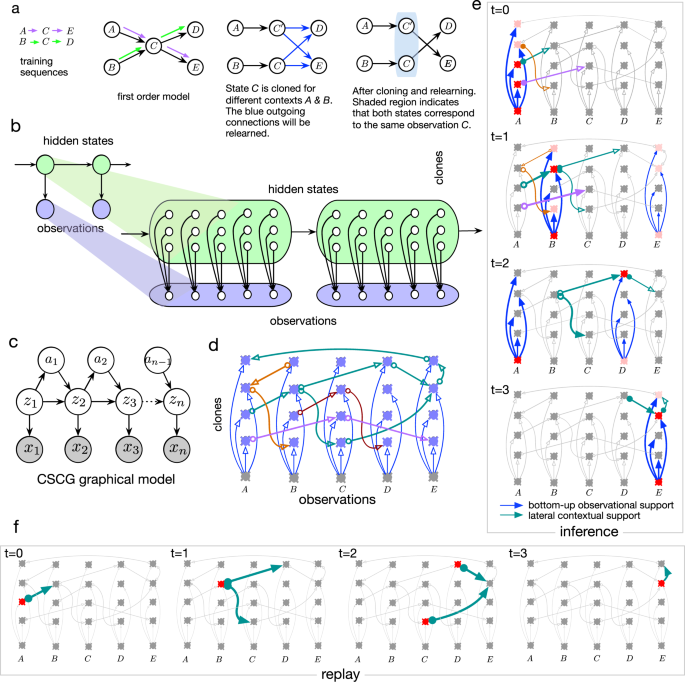 Clone-structured graph representations enable flexible learning and  vicarious evaluation of cognitive maps | Nature Communications