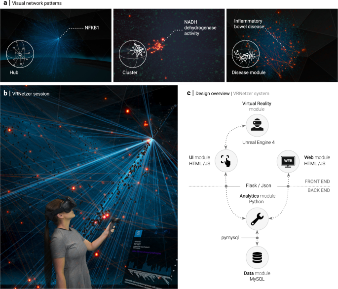 The VRNetzer platform enables interactive network analysis in Virtual  Reality | Nature Communications