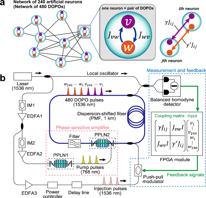Collective And Synchronous Dynamics Of Photonic Spiking Neurons Nature Communications Collective And Synchronous Dynamics Of Photonic Spiking Neurons Nature Communications