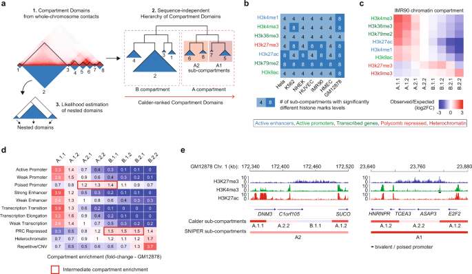 Systematic inference and comparison of multi-scale chromatin sub-compartments connects spatial organization to cell phenotypes