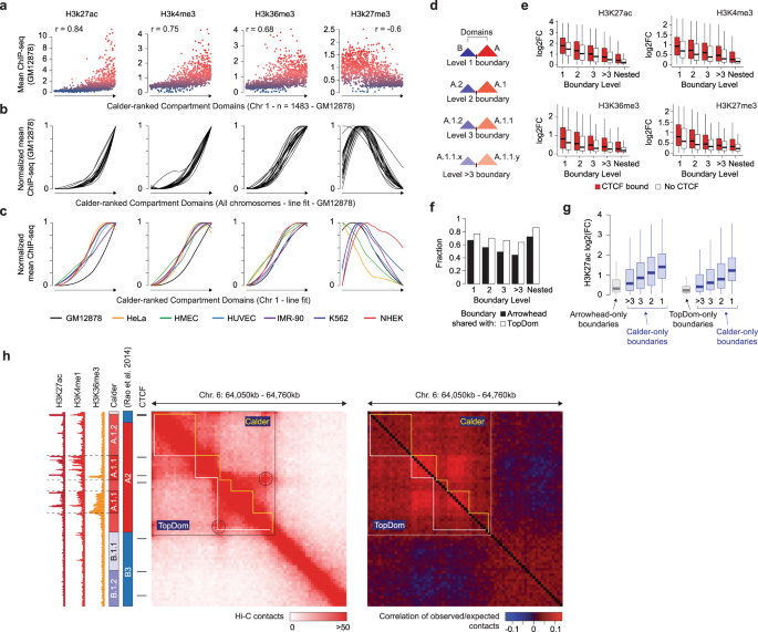 Systematic inference and comparison of multi-scale chromatin  sub-compartments connects spatial organization to cell phenotypes