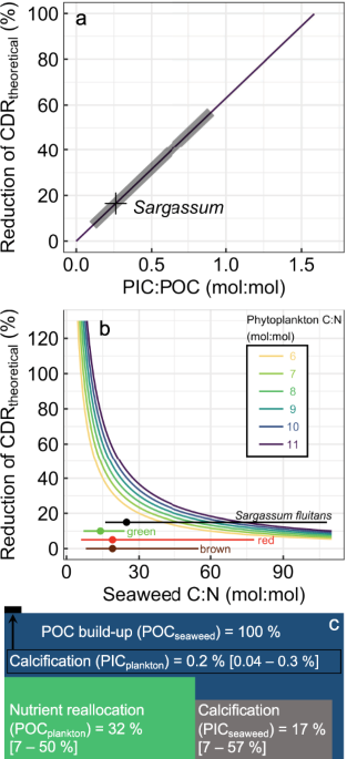 Testing the climate intervention potential of ocean afforestation using the  Great Atlantic Sargassum Belt