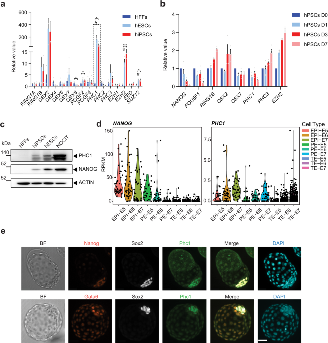 genome wide chromatin interactions