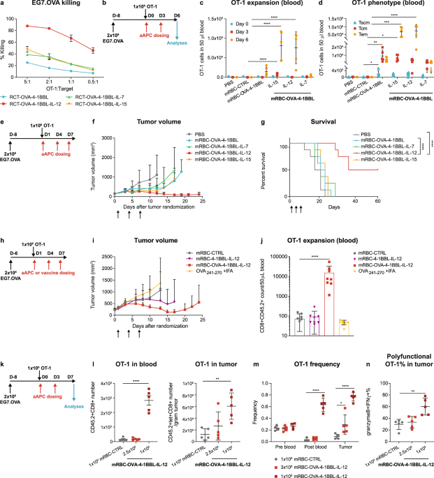 Engineered red blood cells as an off-the-shelf allogeneic anti-tumor  therapeutic | Nature Communications