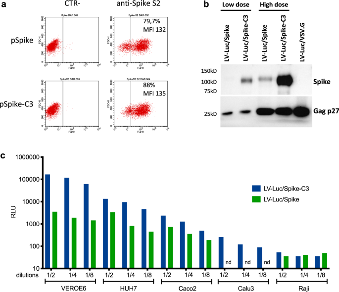 Neutralizing antibody responses to SARS-CoV-2 in symptomatic COVID-19 is  persistent and critical for survival | Nature Communications