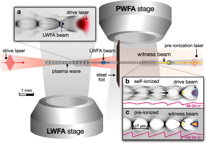 Demonstration of a compact plasma accelerator powered by laser-accelerated  electron beams | Nature Communications