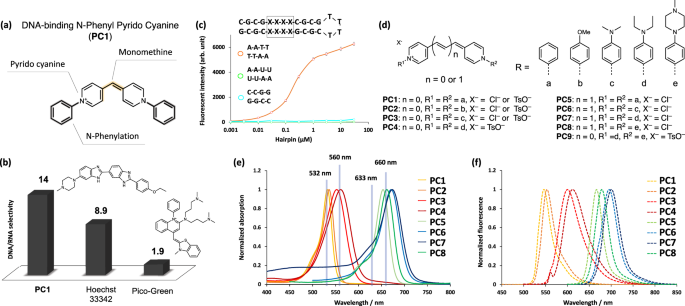 N Aryl Pyrido Cyanine Derivatives Are Nuclear And Organelle Dna Markers For Two Photon And Super Resolution Imaging Nature Communications