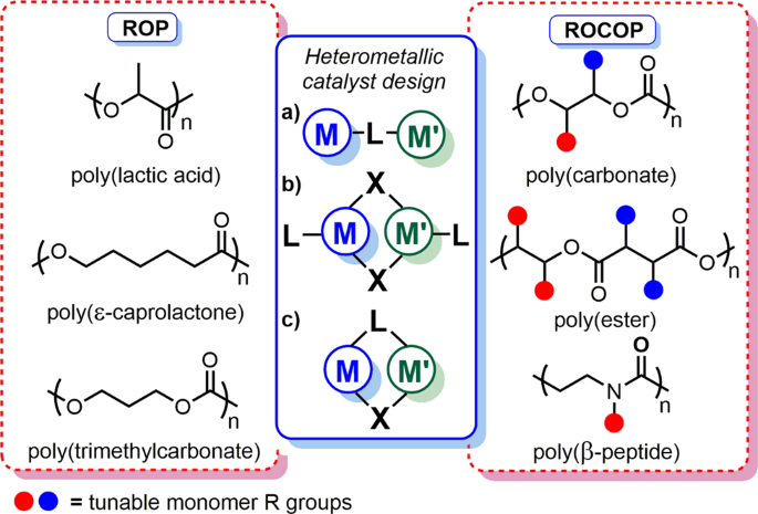 PPT - Ring-Opening Metathesis Polymerization (ROMP) PowerPoint Presentation  - ID:1977768