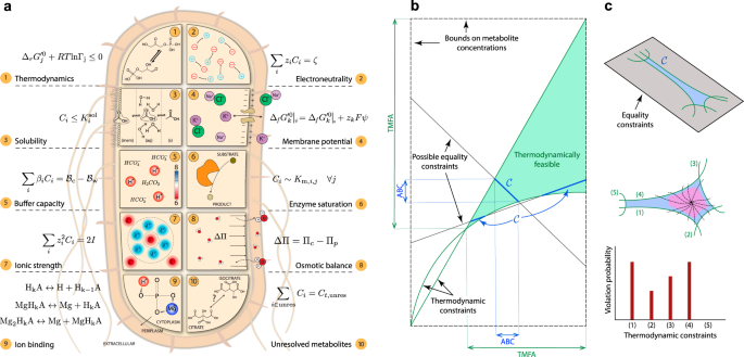 The Quantitative Metabolome Is Shaped By Abiotic Constraints Nature Communications