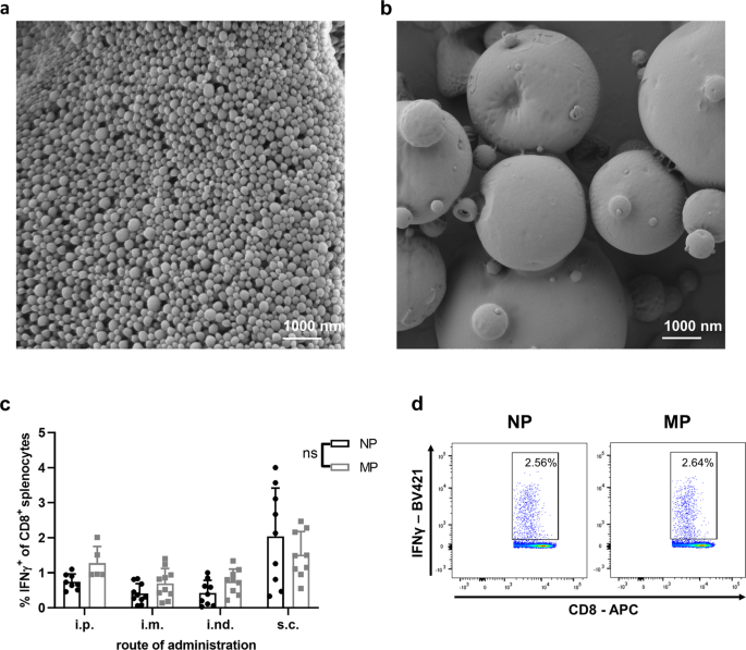 Plga Particle Vaccine Carrying Tlr3 Rig I Ligand Riboxxim Synergizes With Immune Checkpoint Blockade For Effective Anti Cancer Immunotherapy Nature Communications