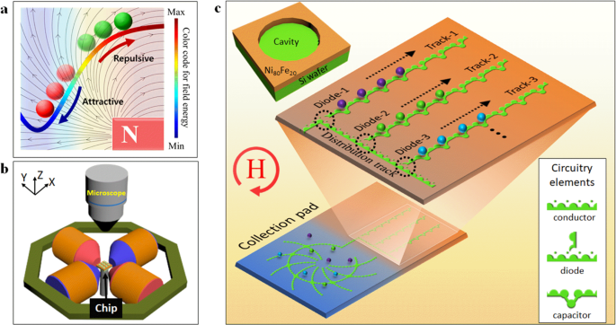 Mattertronics for programmable manipulation and multiplex storage of  pseudo-diamagnetic holes and label-free cells | Nature Communications