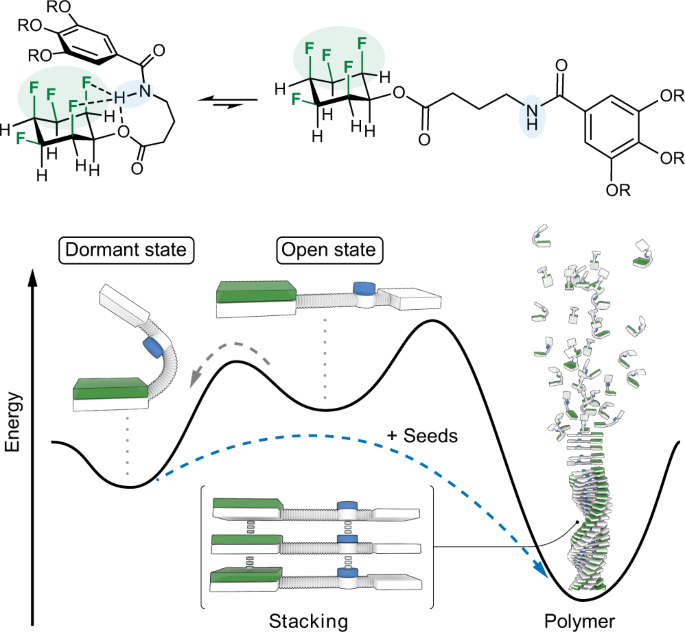 Living Supramolecular Polymerization Of Fluorinated Cyclohexanes Nature Communications