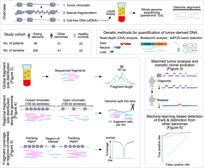 DREAMS: deep read-level error model for sequencing data applied to  low-frequency variant calling and circulating tumor DNA detection, Genome  Biology