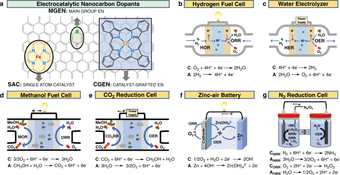 Toward a mechanistic understanding of electrocatalytic nanocarbon | Nature  Communications