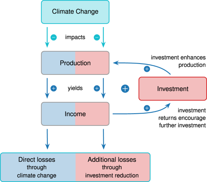 nature and scope of investment decisions