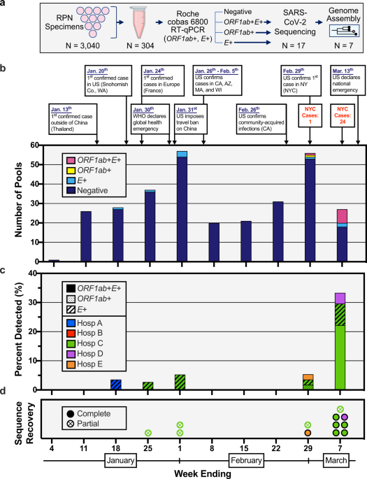 Molecular evidence of SARS-CoV...