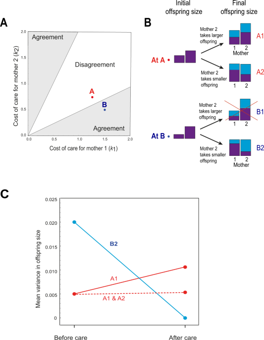 A Veil Of Ignorance Can Promote Fairness In A Mammal Society Nature Communications