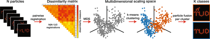 Detecting structural heterogeneity in single-molecule localization microscopy data