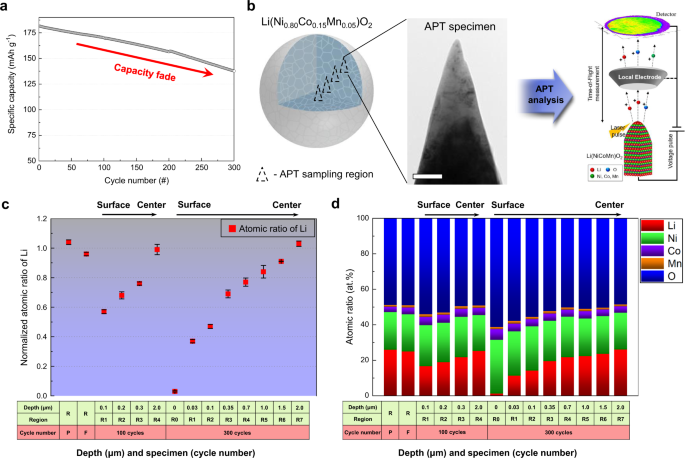 Evolution And Expansion Of Li Concentration Gradient During Charge Discharge Cycling Nature Communications