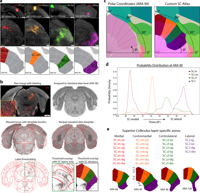 Organization Of The Inputs And Outputs Of The Mouse Superior Colliculus Nature Communications