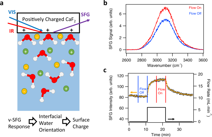 Liquid flow reversibly creates a macroscopic surface charge gradient |  Nature Communications