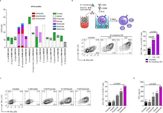 hell moron Zealot Microbial short-chain fatty acids modulate CD8+ T cell responses and  improve adoptive immunotherapy for cancer | Nature Communications