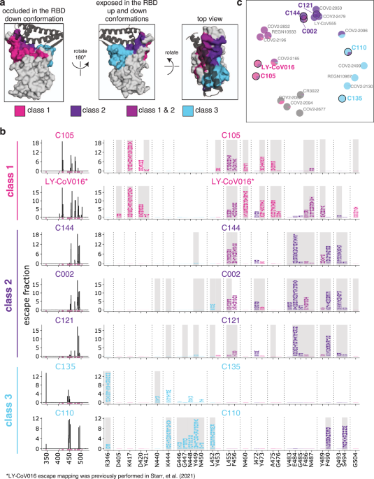 Mapping mutations to the SARS-CoV-2 RBD that escape binding by different classes of antibodies