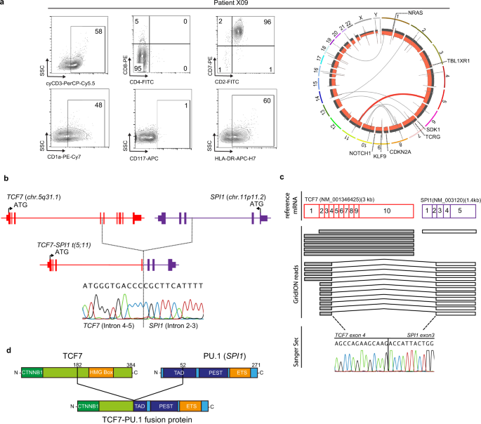 Oncogenic Cooperation Between Tcf7 Spi1 And Nras G12d Requires B Catenin Activity To Drive T Cell Acute Lymphoblastic Leukemia Nature Communications