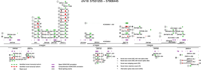 regular expression not exceed length regular expression not exceed length