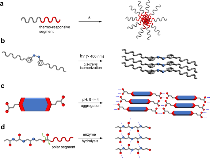 Self Assembly Using A Retro Diels Alder Reaction Nature Communications Self Assembly Using A Retro Diels Alder Reaction Nature Communications
