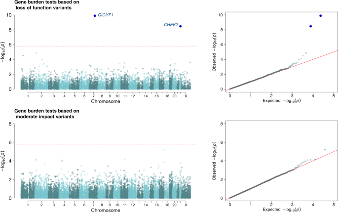 Gigyf1 Loss Of Function Is Associated With Clonal Mosaicism And Adverse Metabolic Health Nature Communications