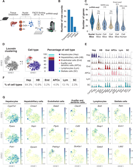 Single-nucleus RNA and ATAC sequencing reveals the impact of