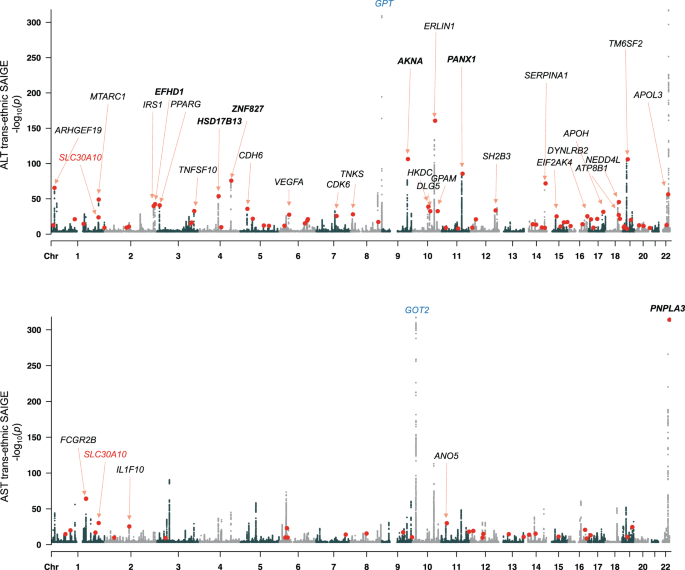 GWAS of serum ALT and AST reveals an association of SLC30A10 Thr95Ile with  hypermanganesemia symptoms | Nature Communications