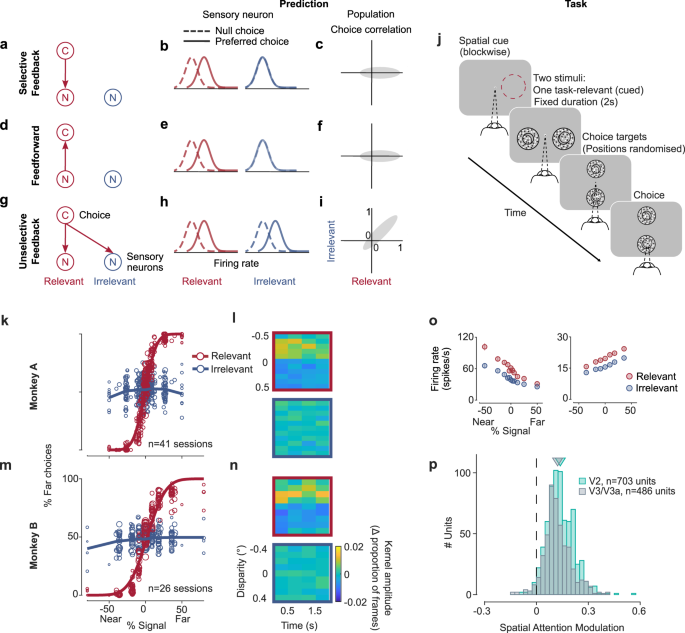 Decision-related feedback in visual cortex lacks spatial selectivity
