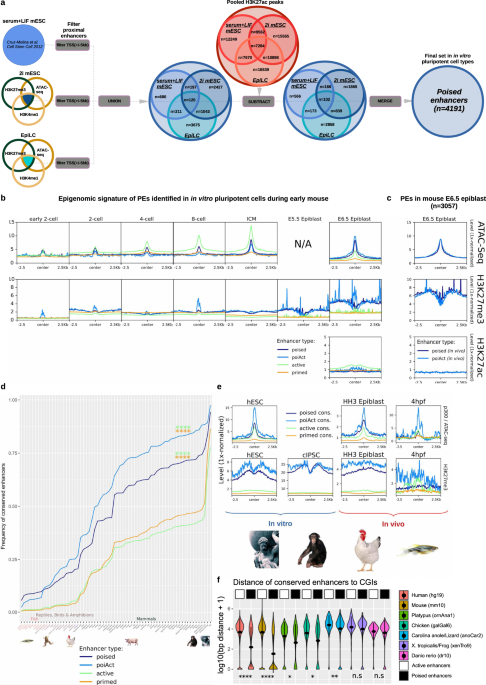 The Chromatin Topological And Regulatory Properties Of Pluripotency Associated Poised Enhancers Are Conserved In Vivo Nature Communications