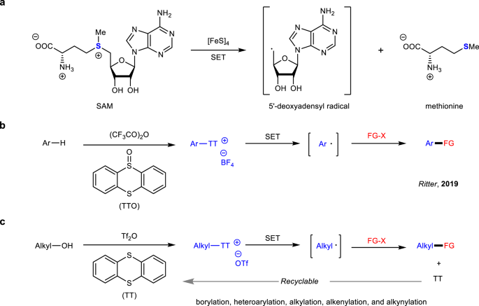 Generation Of Non Stabilized Alkyl Radicals From Thianthrenium Salts For C B And C C Bond Formation Nature Communications