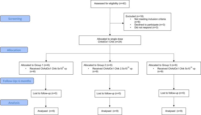 A single dose of ChAdOx1 Chik ...
