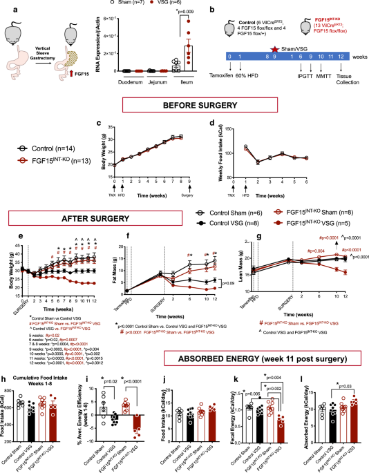 https://media.springernature.com/m685/springer-static/image/art%3A10.1038%2Fs41467-021-24914-y/MediaObjects/41467_2021_24914_Fig1_HTML.png