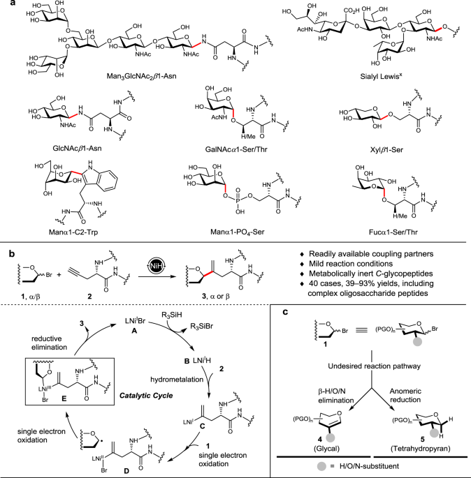 Facile Access To C Glycosyl Amino Acids And Peptides Via Ni Catalyzed Reductive Hydroglycosylation Of Alkynes Nature Communications