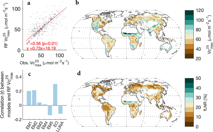 Global Variation In The Fraction Of Leaf Nitrogen Allocated To Photosynthesis Nature Communications