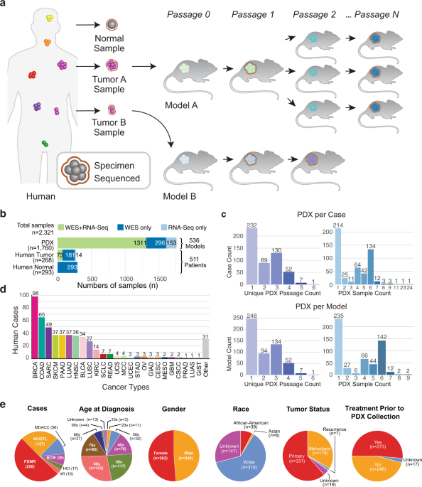 Comprehensive characterization of 536 patient-derived xenograft models  prioritizes candidates for targeted treatment | Nature Communications
