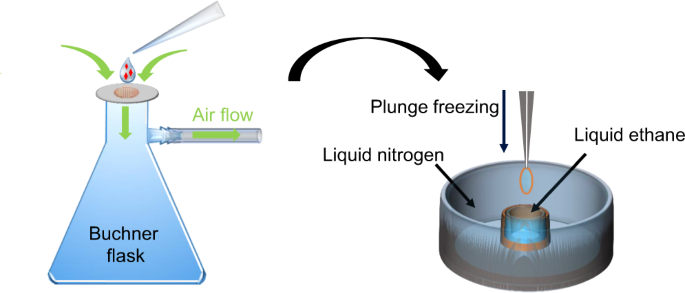 A simple pressure-assisted method for MicroED specimen preparation | Nature  Communications