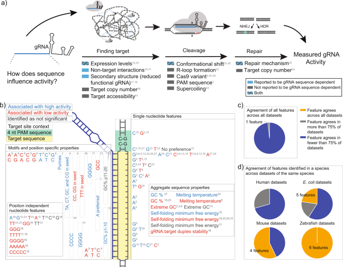 Genome Dependent Cas9 Grna Search Time Underlies Sequence Dependent Grna Activity Nature Communications Genome Dependent Cas9 Grna Search Time Underlies Sequence Dependent Grna Activity Nature Communications