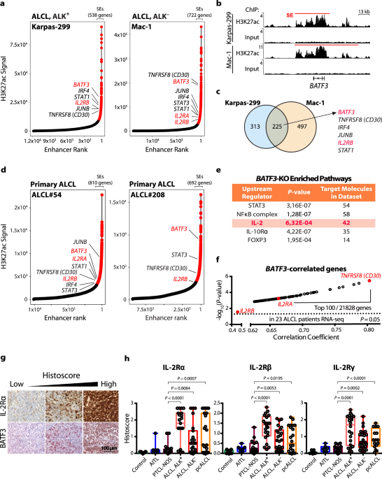 Super-enhancer-based identification of a BATF3/IL-2R−module reveals  vulnerabilities in anaplastic large cell lymphoma | Nature Communications